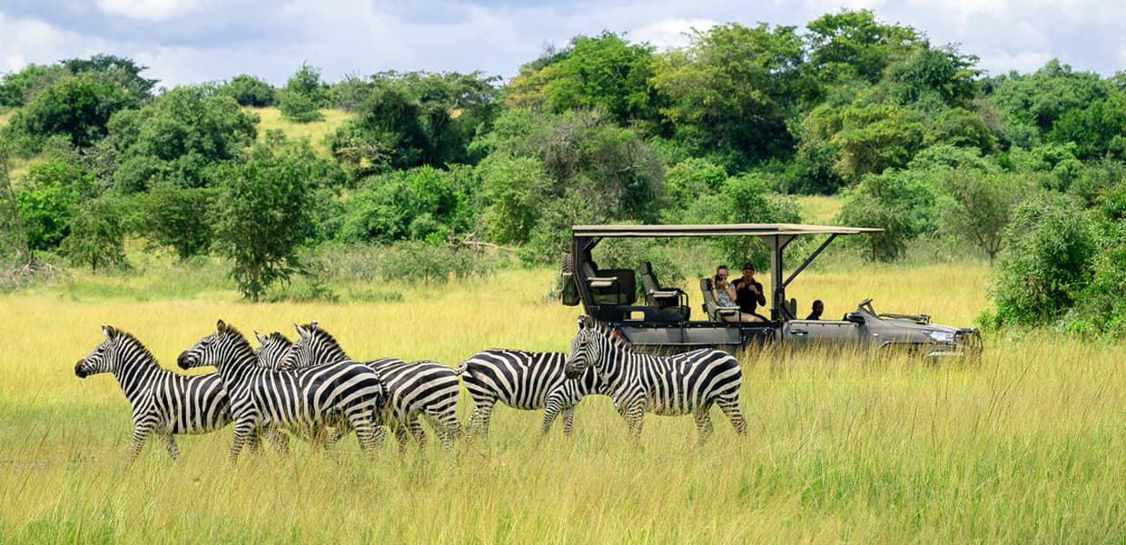 Akagera National Park
